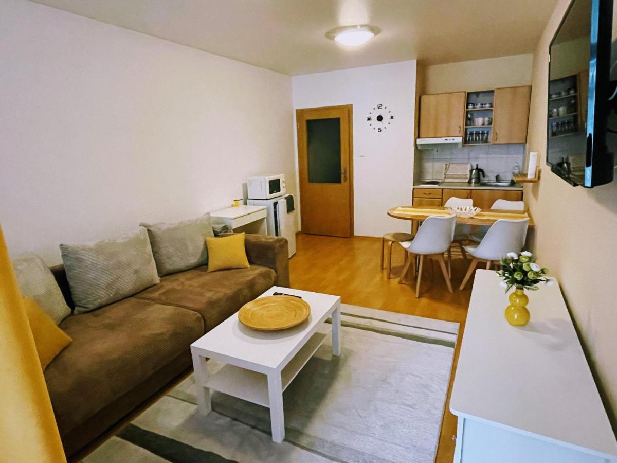 Apartman & Studio Tyrkys Spiezovec ドノヴァリ エクステリア 写真