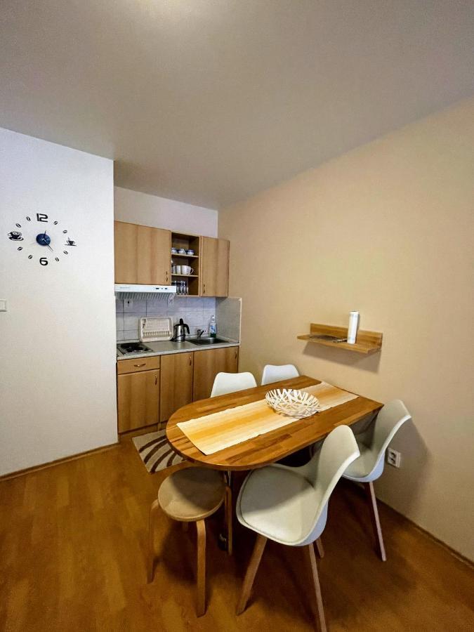 Apartman & Studio Tyrkys Spiezovec ドノヴァリ エクステリア 写真