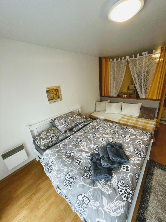 Apartman & Studio Tyrkys Spiezovec ドノヴァリ エクステリア 写真