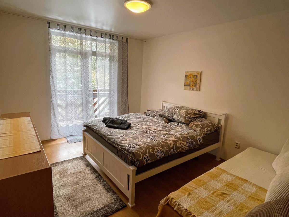 Apartman & Studio Tyrkys Spiezovec ドノヴァリ エクステリア 写真