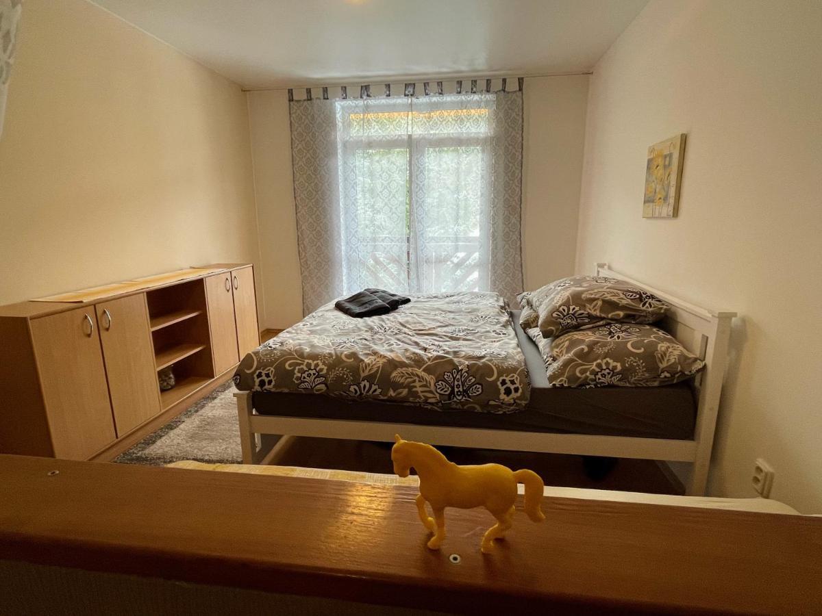Apartman & Studio Tyrkys Spiezovec ドノヴァリ エクステリア 写真