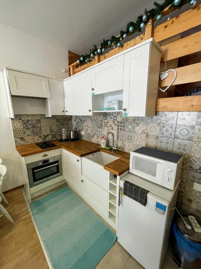 Apartman & Studio Tyrkys Spiezovec ドノヴァリ エクステリア 写真