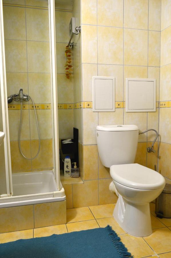 Apartman & Studio Tyrkys Spiezovec ドノヴァリ エクステリア 写真