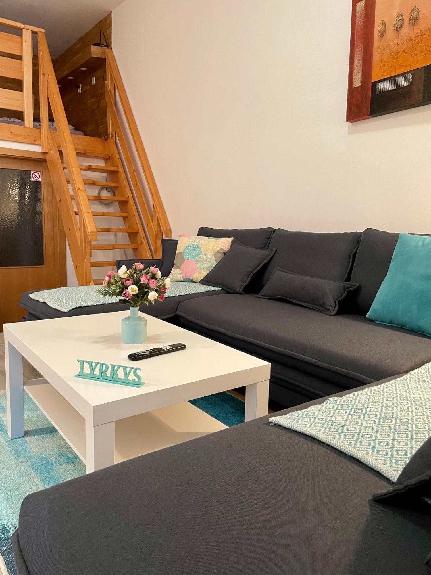 Apartman & Studio Tyrkys Spiezovec ドノヴァリ エクステリア 写真